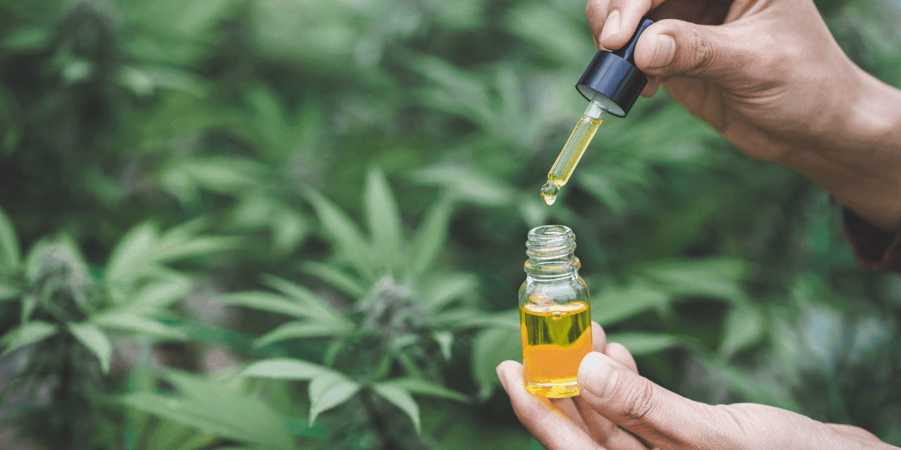 cannabis tinctures