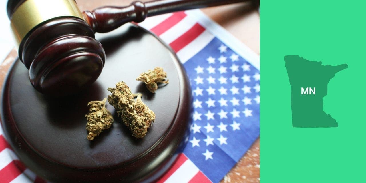 judge's gavel beside a cannabis buds with MN's map on the right side